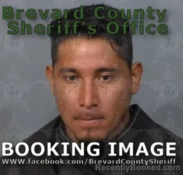 Mugshot of Walter Higinio Contreras Gonzalez booked in Brevard County, Florida on August 16, 2026