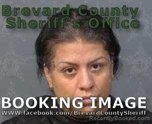 Mugshot of Amanda Jordan Brown booked in Brevard County, Florida on August 17, 2026