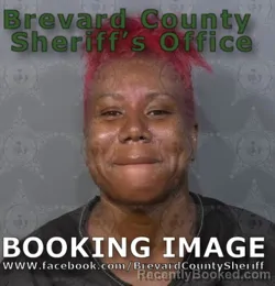 Mugshot of Ayanna Joann Shortridge booked in Brevard County, Florida on August 18, 2026