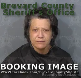 Mugshot of Brittany Elizabeth Stiefel booked in Brevard County, Florida on August 18, 2026