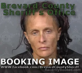 Mugshot of Ashlee Nichole Bowen booked in Brevard County, Florida on August 18, 2026