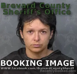 Mugshot of Ashleigh Ann Ladrew booked in Brevard County, Florida on August 18, 2026