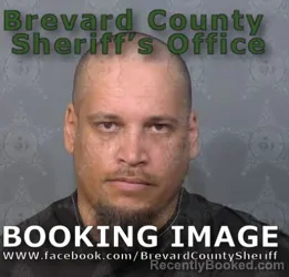 Mugshot of Harold Jay Torres booked in Brevard County, Florida on August 18, 2026