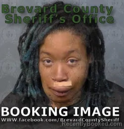 Mugshot of Deneen Stephanie Chung booked in Brevard County, Florida on August 19, 2026