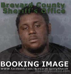 Mugshot of Daishon Scott Mccauley booked in Brevard County, Florida on August 19, 2026