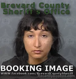Mugshot of Claudia Marcela Hammen booked in Brevard County, Florida on August 19, 2026