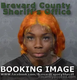 Mugshot of Samaria Rhondaj A Simmons booked in Brevard County, Florida on August 19, 2026