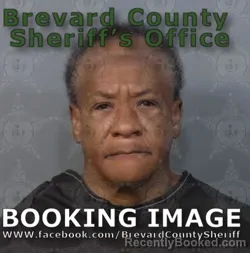 Mugshot of Amy Lee Thomas booked in Brevard County, Florida on August 19, 2026