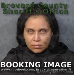 Mugshot of Maria Christina Lorenzo booked in Brevard County, Florida on August 21, 2026