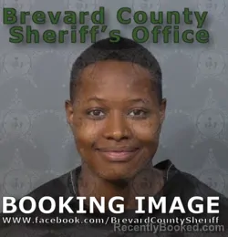 Mugshot of Arianna L Evans-Freeman booked in Brevard County, Florida on August 21, 2026