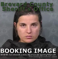 Mugshot of Antonina Mykolaivna Voznyuk booked in Brevard County, Florida on August 22, 2026