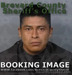 Mugshot of Cristobal Sales Sales booked in Brevard County, Florida on August 22, 2026