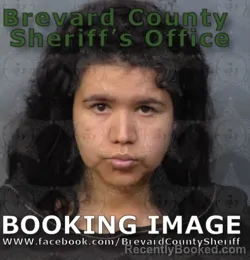 Mugshot of Wendy Elizabeth Belfast Francisco booked in Brevard County, Florida on August 22, 2026
