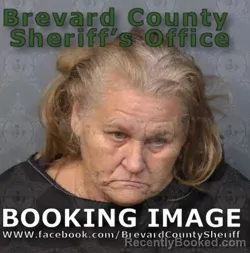 Mugshot of Michelle Rae Woods booked in Brevard County, Florida on August 24, 2026