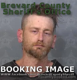 Mugshot of Valen Blake Gyorvary booked in Brevard County, Florida on August 25, 2026