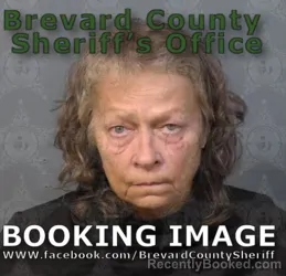 Mugshot of Dawn Marie Tierney booked in Brevard County, Florida on August 25, 2026