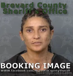 Mugshot of Laura Marilin Alvarado Delgado booked in Brevard County, Florida on August 26, 2026
