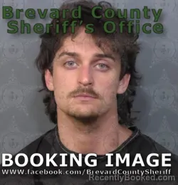 Mugshot of Seth Cameron King booked in Brevard County, Florida on August 28, 2026