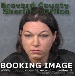 Mugshot of Taylor Paige Johnson booked in Brevard County, Florida on August 28, 2026