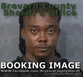 Mugshot of Max Stanley Calixte booked in Brevard County, Florida on August 28, 2026
