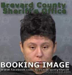 Mugshot of Andrea Lucia Gonzales booked in Brevard County, Florida on August 29, 2026