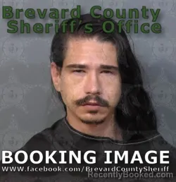 Mugshot of Cody Alexander Zulfer booked in Brevard County, Florida on August 29, 2026