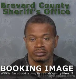 Mugshot of Theodore Jenkins booked in Brevard County, Florida on August 29, 2026