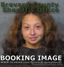 Mugshot of Amy Clementh Brandenburg booked in Brevard County, Florida on August 29, 2026