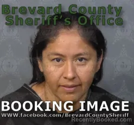 Mugshot of Lilian Azucena Lopez booked in Brevard County, Florida on August 29, 2026