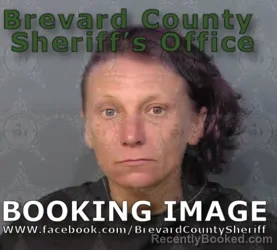 Mugshot of Crystal Ann Redwine booked in Brevard County, Florida on August 30, 2026