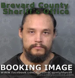 Mugshot of Steven Vyacheslav Pyrich booked in Brevard County, Florida on August 31, 2026