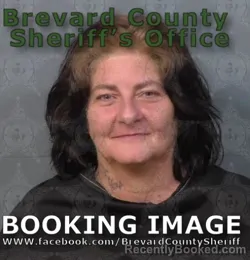 Mugshot of Lisa Ann Wells booked in Brevard County, Florida on September 1, 2026