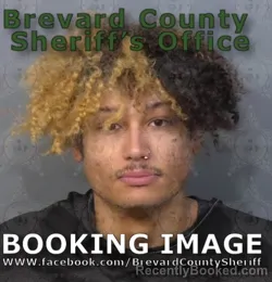 Mugshot of Damien Reece Xavier Brown booked in Brevard County, Florida on September 3, 2026
