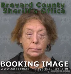 Mugshot of Barbra Jeri Nyquist booked in Brevard County, Florida on September 3, 2026