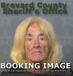 Mugshot of Joann Irene Pettepher booked in Brevard County, Florida on September 3, 2026