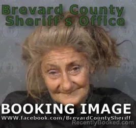 Mugshot of Brenda Lee Donohoe booked in Brevard County, Florida on September 3, 2026