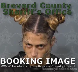 Mugshot of Olivia Antonette Hughes booked in Brevard County, Florida on September 4, 2026
