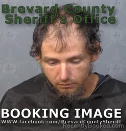 Booking photo from Brevard County, Florida