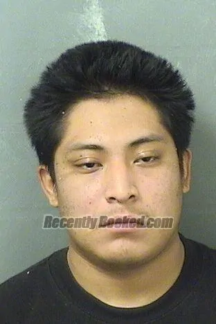 Booking photo from Palm Beach County, Florida