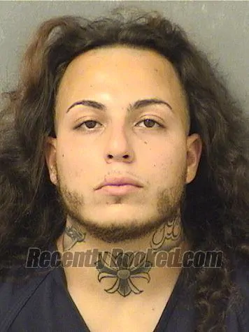 Booking photo from Palm Beach County, Florida