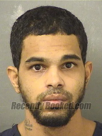 Booking photo from Palm Beach County, Florida