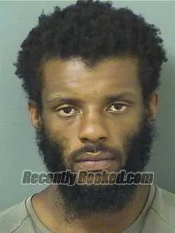 Booking photo from Palm Beach County, Florida