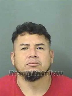 Booking photo from Palm Beach County, Florida