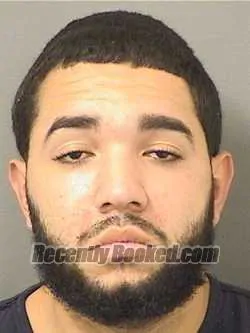 Booking photo from Palm Beach County, Florida