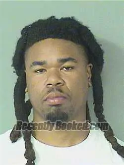 Booking photo from Palm Beach County, Florida