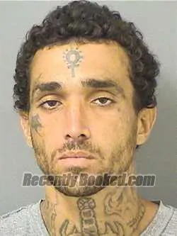 Booking photo from Palm Beach County, Florida