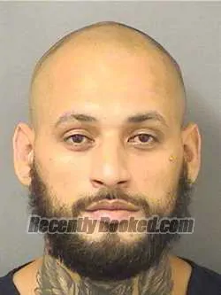 Booking photo from Palm Beach County, Florida