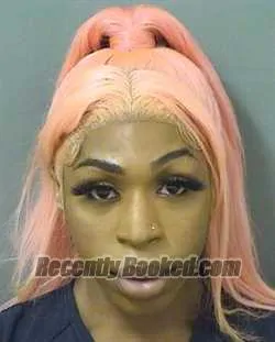 Booking photo from Palm Beach County, Florida