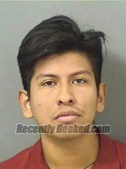 Booking photo from Palm Beach County, Florida