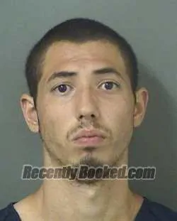 Booking photo from Palm Beach County, Florida